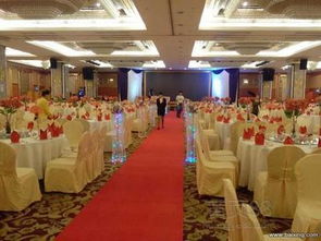 南沙盛典 专业会议及展览服务，开启湾区新篇章